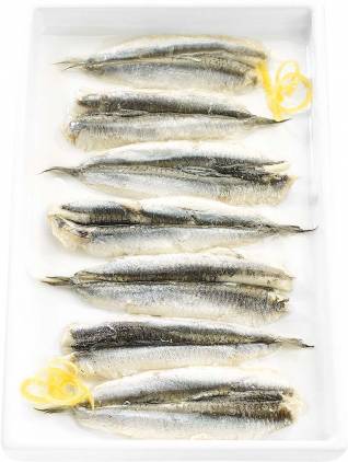 Anchois nature