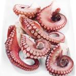 Poulpes à l’huile