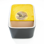 Mousse de canard au porto